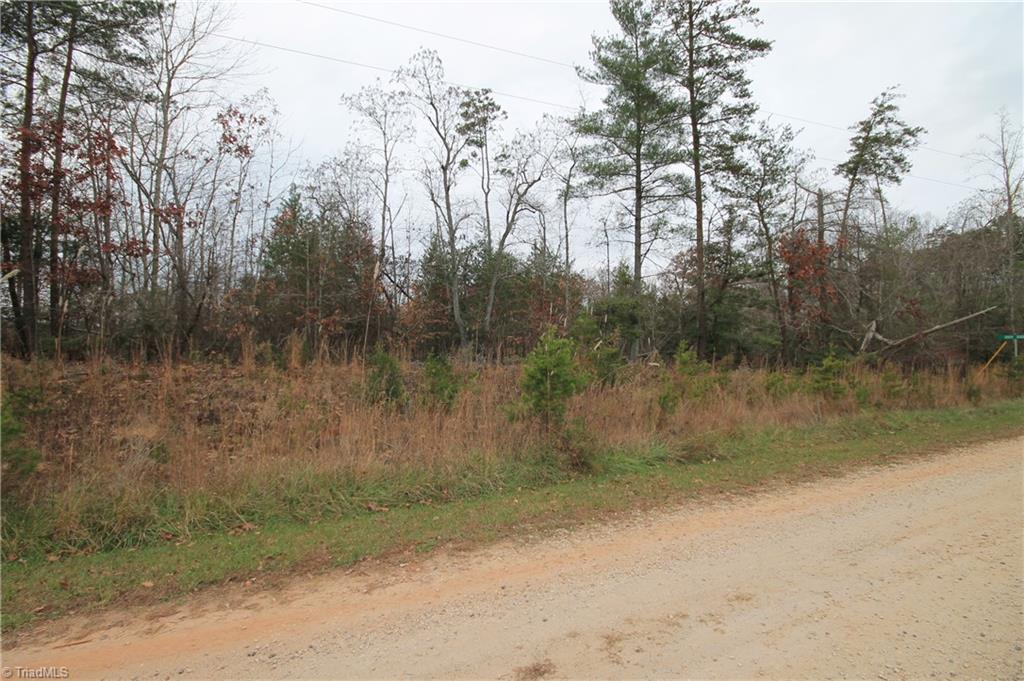 Tbd Jarvis Plantation Road Dobson, NC 27017 - Photo 3 of 18 Gallery Image 3
