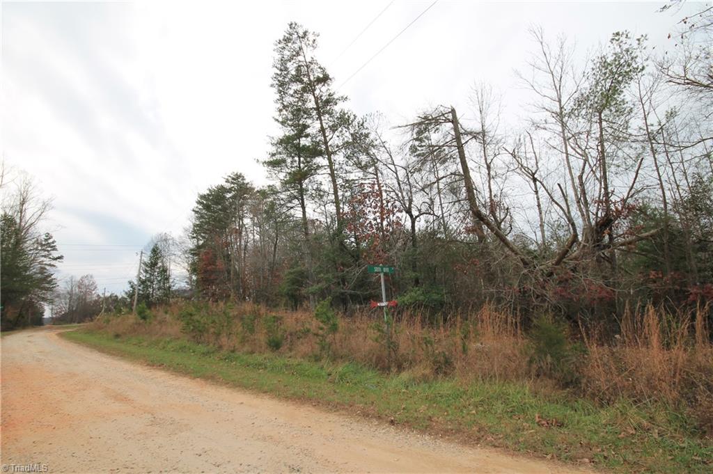 Tbd Jarvis Plantation Road Dobson, NC 27017 - Photo 4 of 18 Gallery Image 4