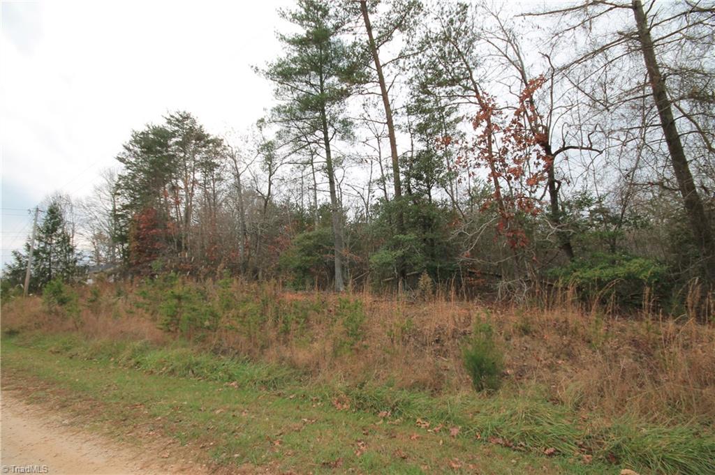 Tbd Jarvis Plantation Road Dobson, NC 27017 - Photo 6 of 18 Gallery Image 6