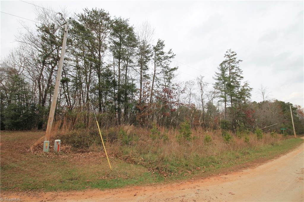 Tbd Jarvis Plantation Road Dobson, NC 27017 - Photo 7 of 18 Gallery Image 7