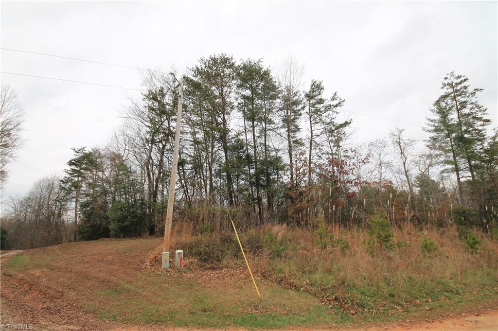 Tbd Jarvis Plantation Road Dobson, NC 27017 - Photo 8 of 18 Gallery Image 8