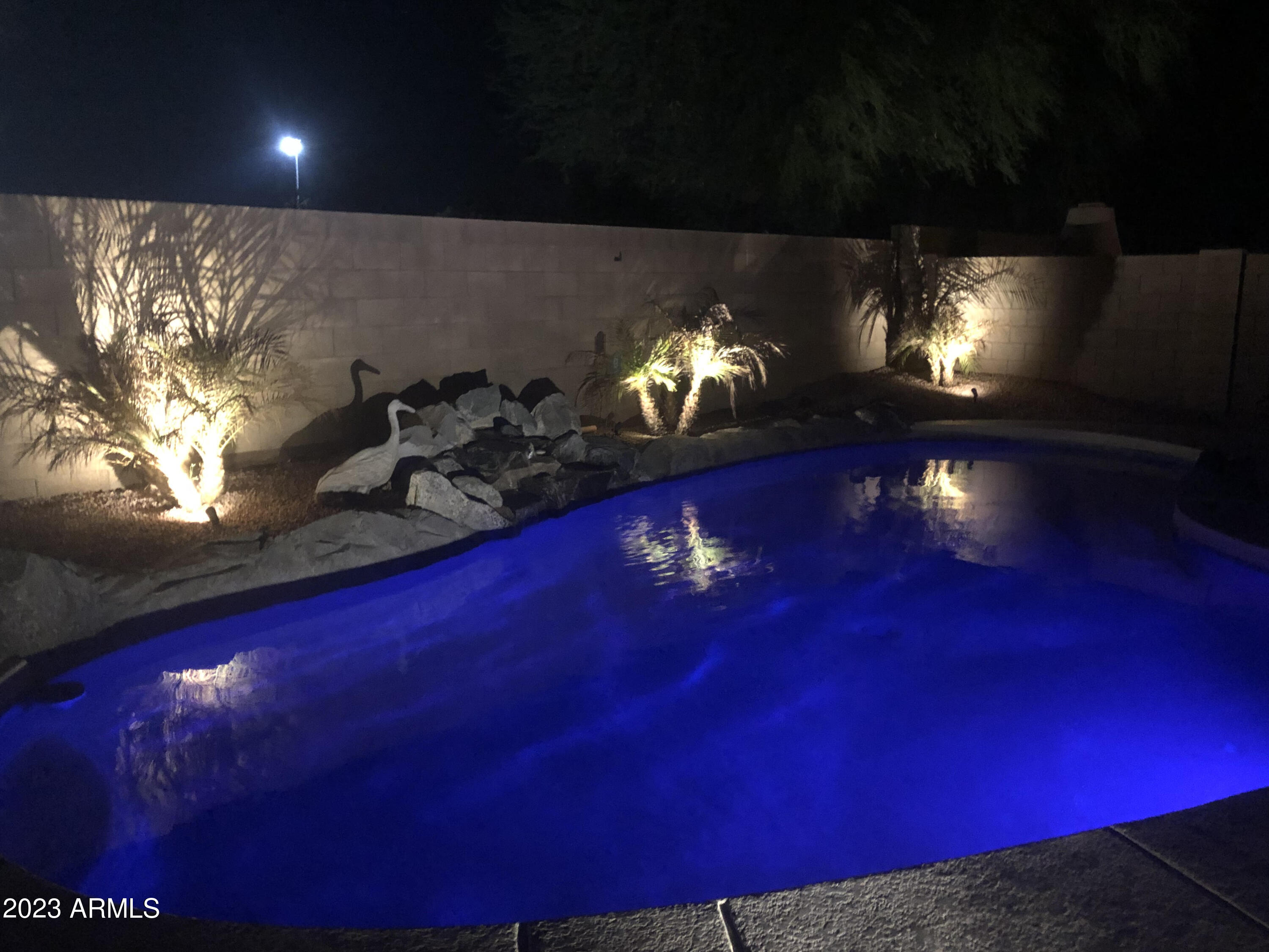 5012 East Harmony Avenue Mesa, AZ 85206 - Photo 20 of 61 Night pool1