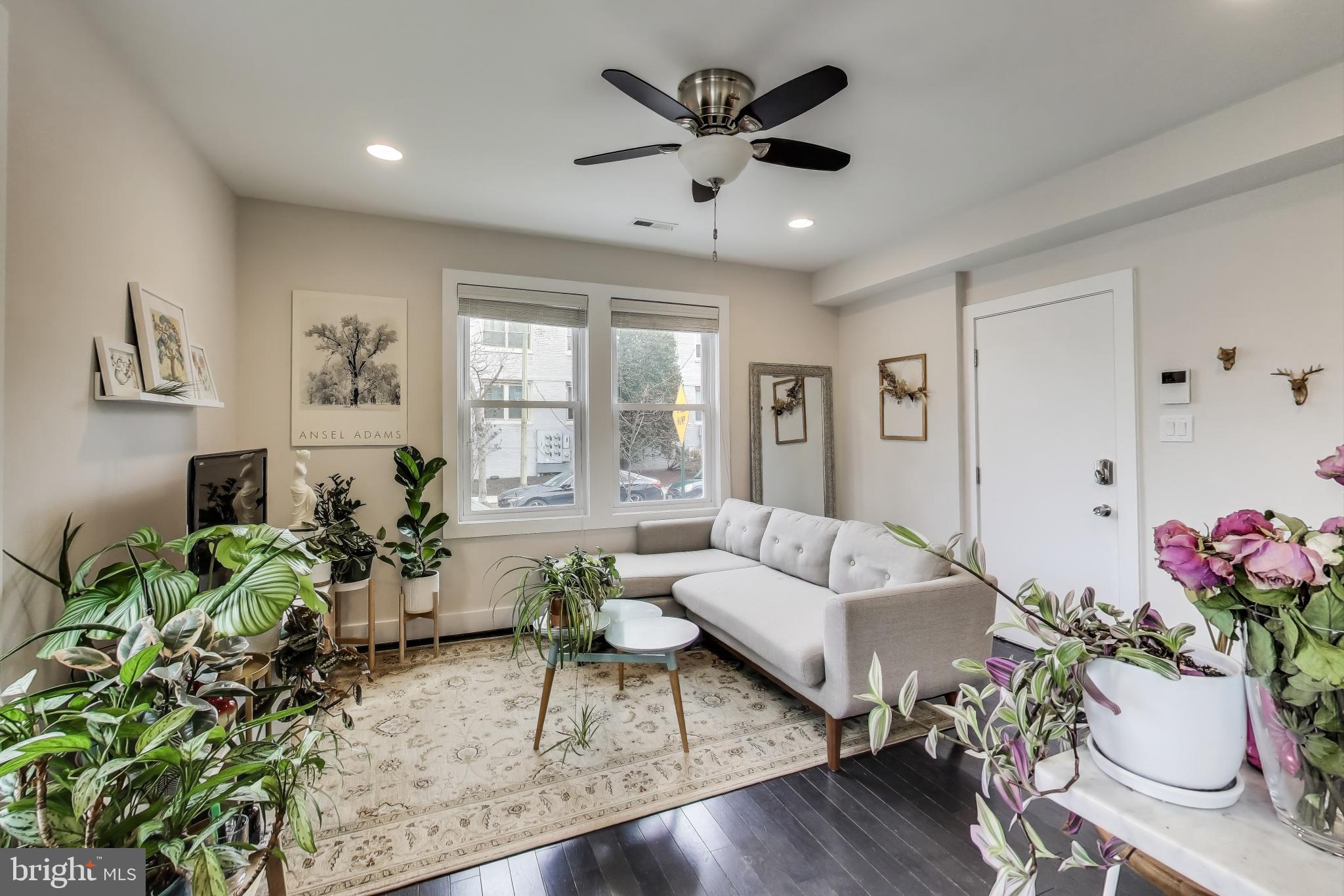 426 18th Street Northeast, Unit 2 Washington, DC 20002 - Photo 2 of 20 a living room with furniture and a potted plant