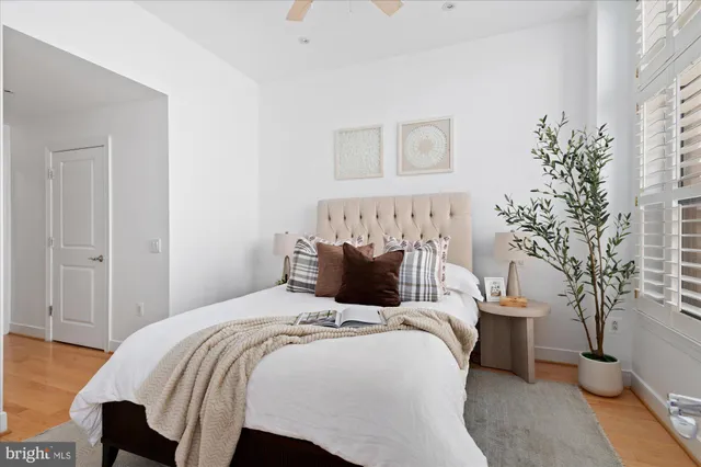 a bedroom with a large bed and a potted plant