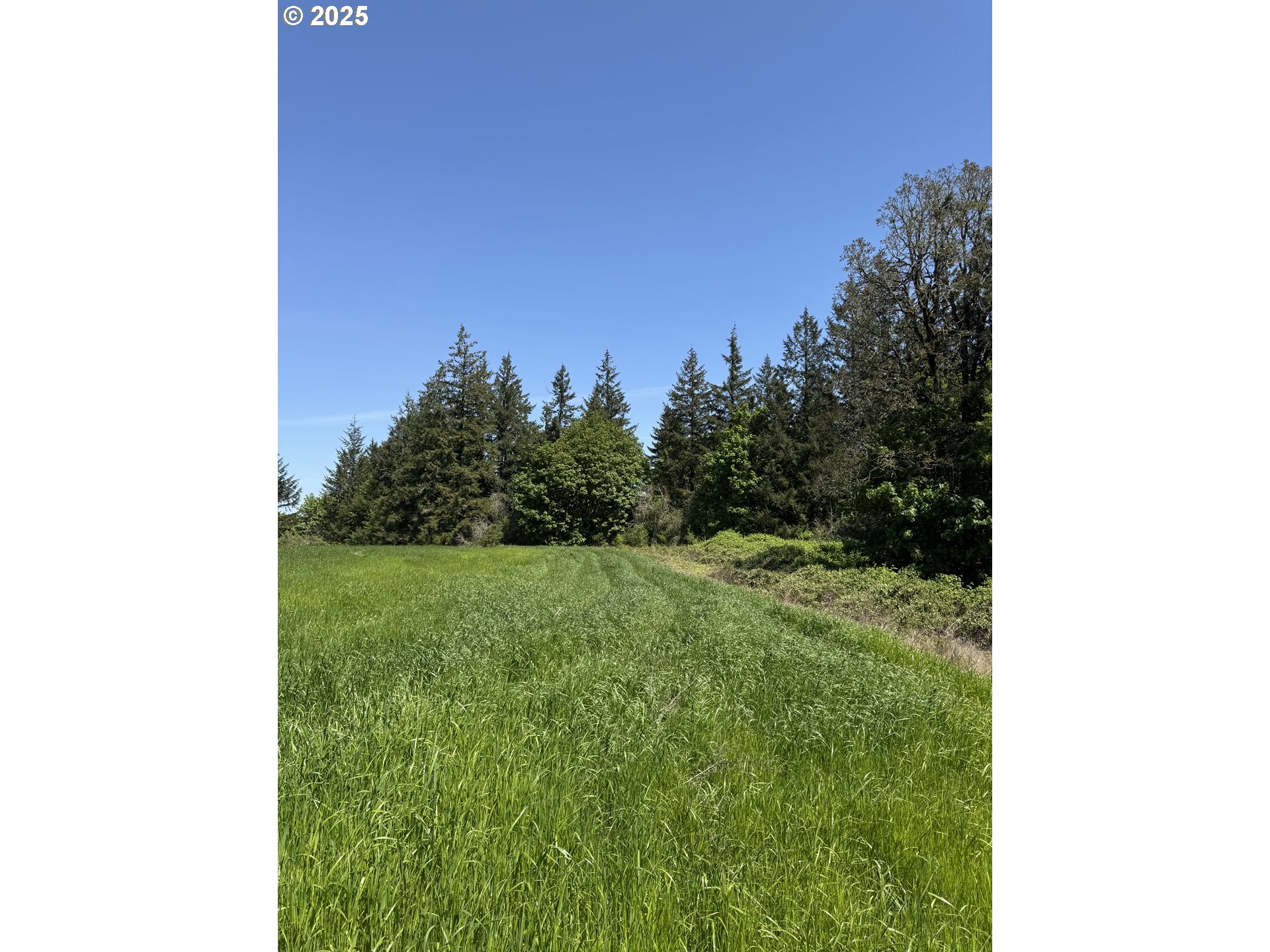 10042 Helmick Road Monmouth, OR 97361 - Photo 3 of 7