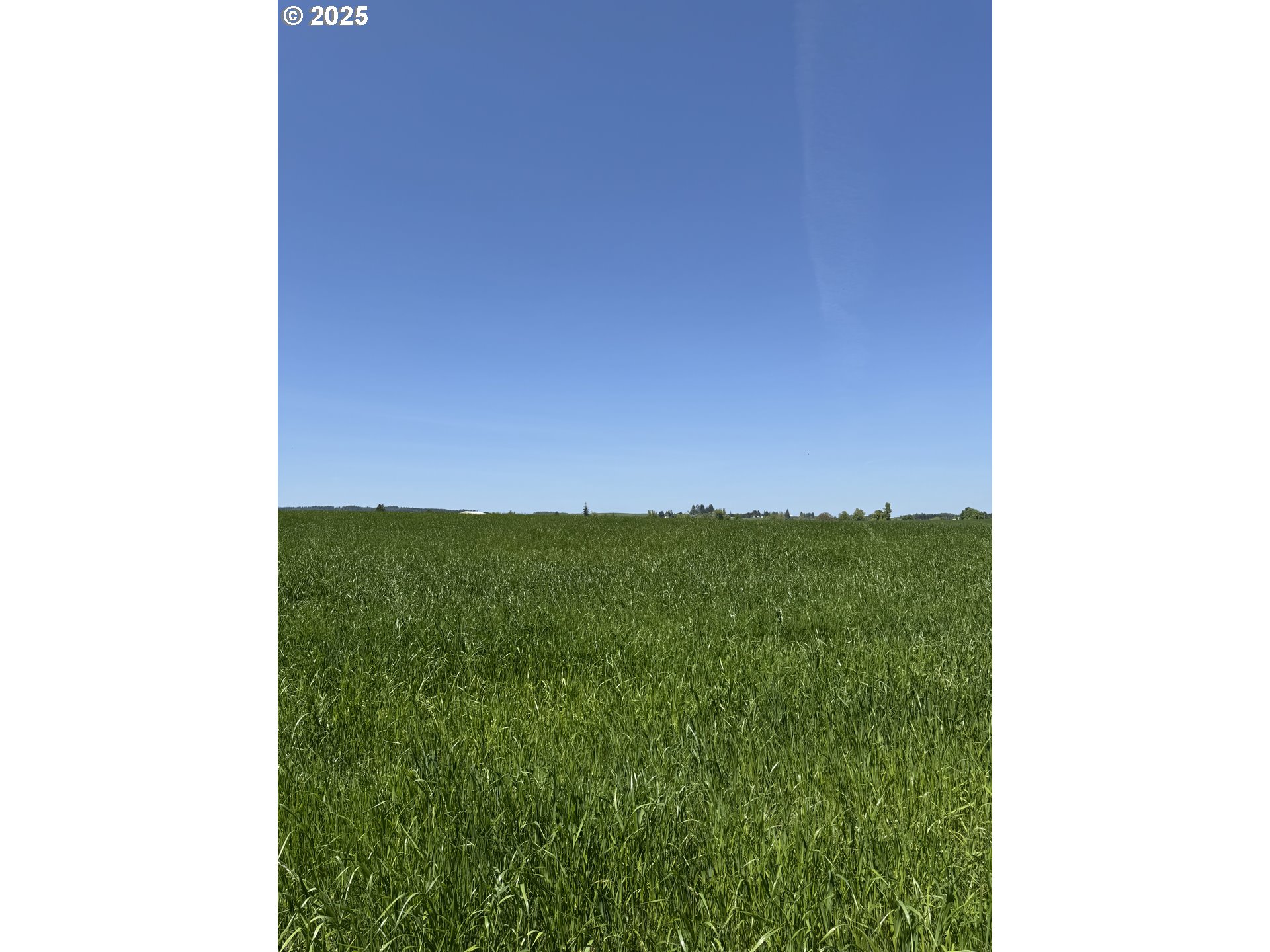 10042 Helmick Road Monmouth, OR 97361 - Photo 4 of 7