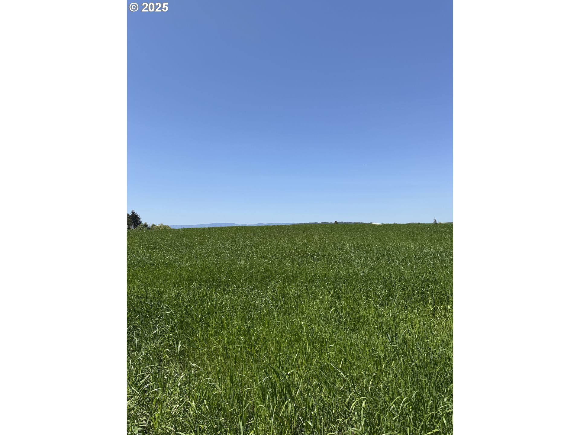 10042 Helmick Road Monmouth, OR 97361 - Photo 5 of 7