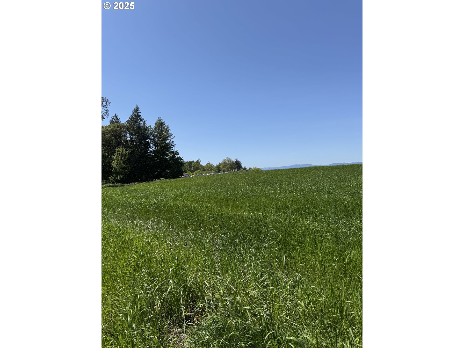 10042 Helmick Road Monmouth, OR 97361 - Photo 6 of 7