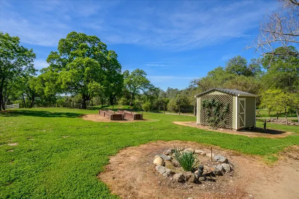 a view of a park with a large trees