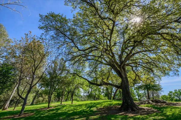 a view of a house with backyard and sitting area