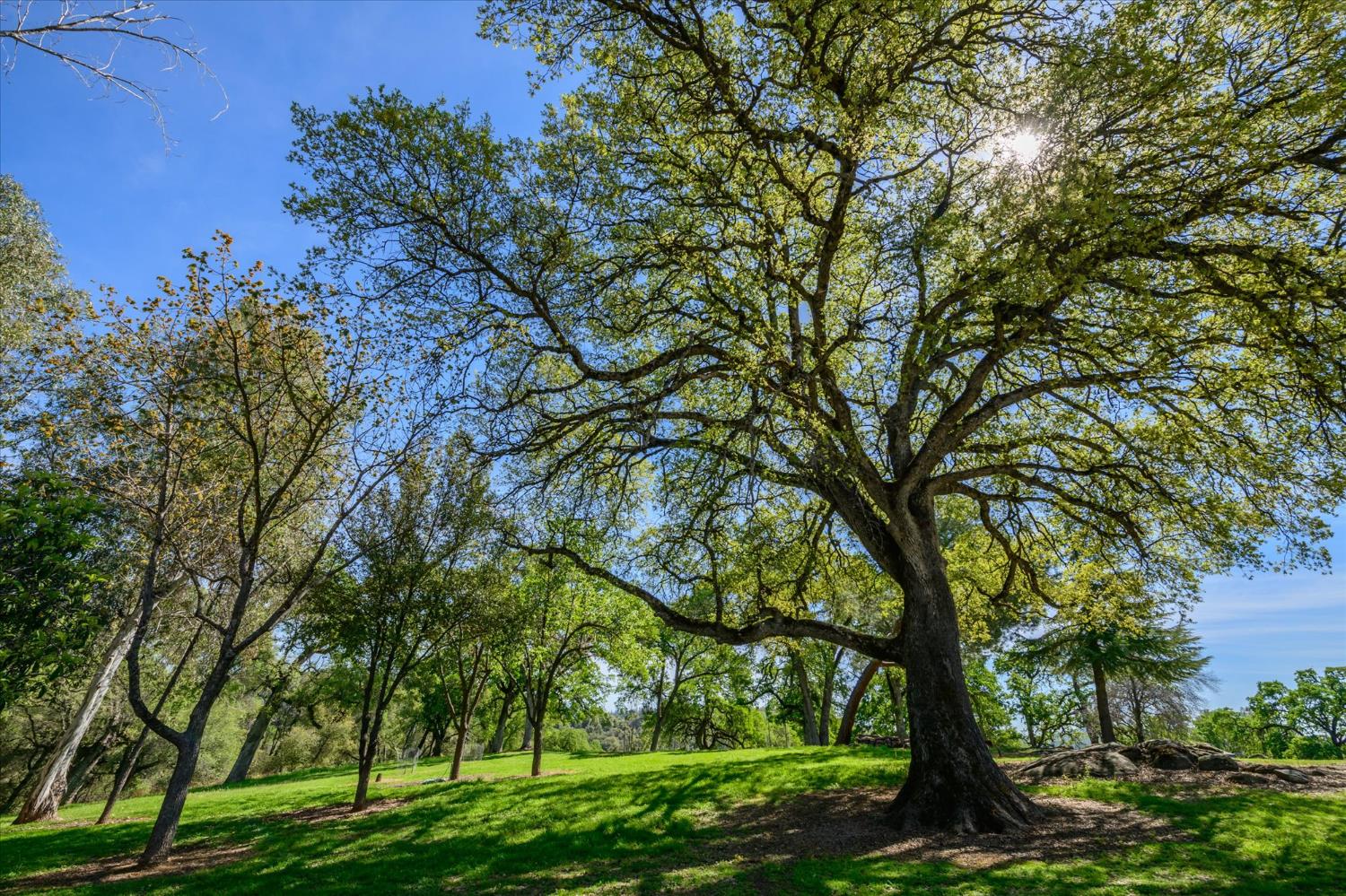 3461 Almosta Road Placerville, CA 95667 - Photo 29 of 49