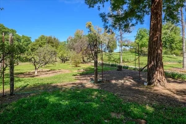 a backyard of a house with lots of green space