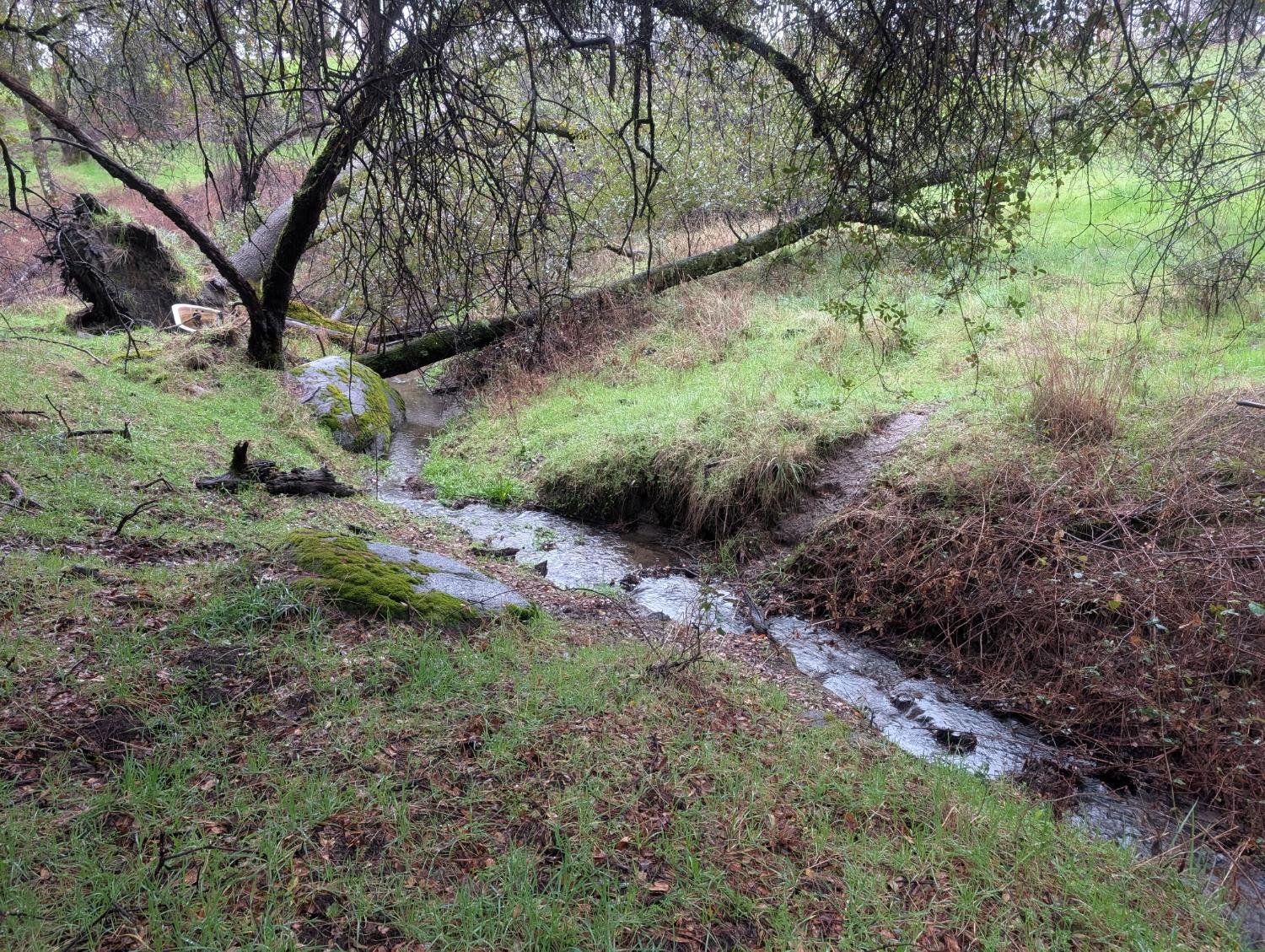 3461 Almosta Road Placerville, CA 95667 - Photo 44 of 49 SEASONAL CREEK ON THE PROPERTY