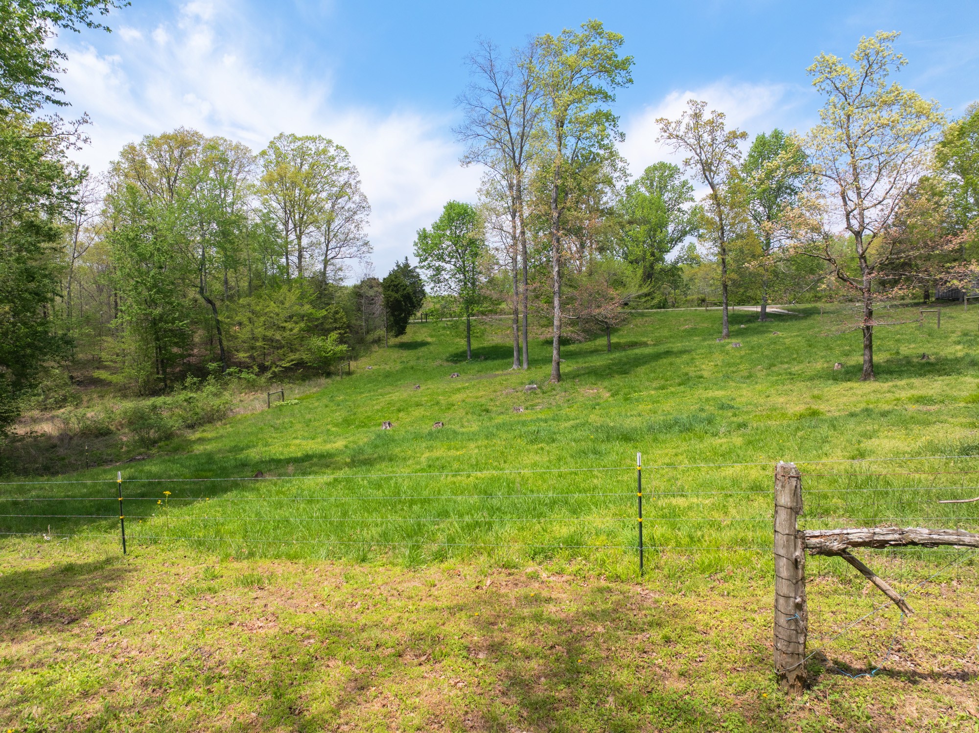 790 Roan Creek Levee Road Yuma, TN 38390 - Photo 28 of 67