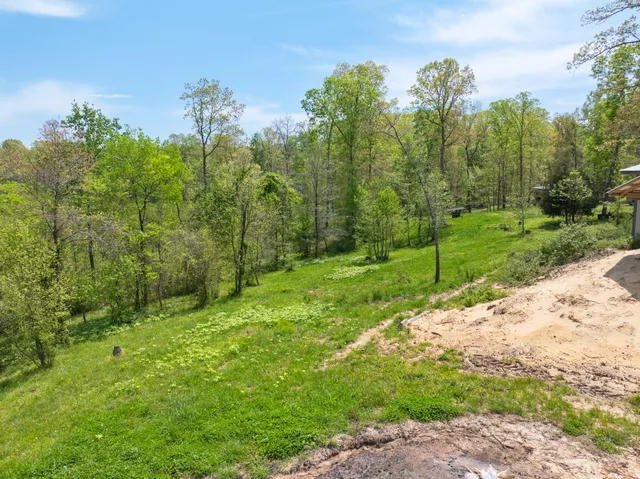 $269,000 | 790 Roan Creek Levee Road, Yuma, TN 38390