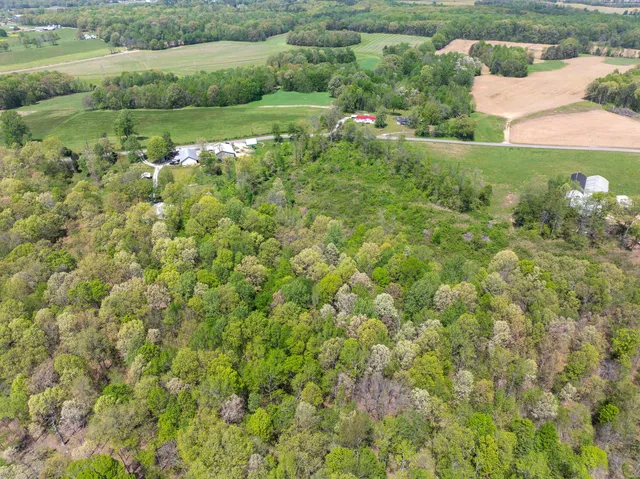 $269,000 | 790 Roan Creek Levee Road, Yuma, TN 38390