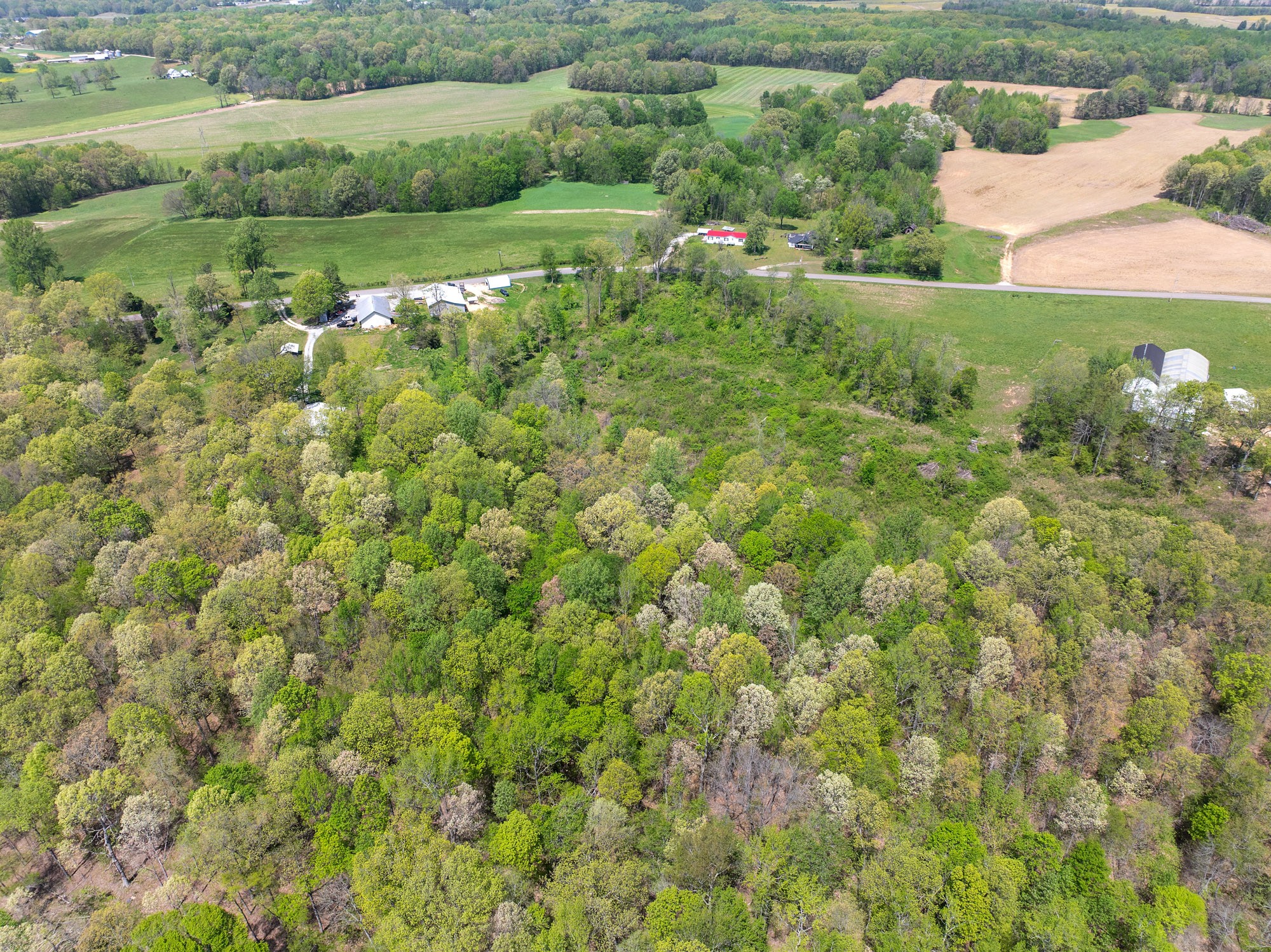 790 Roan Creek Levee Road Yuma, TN 38390 - Photo 34 of 67