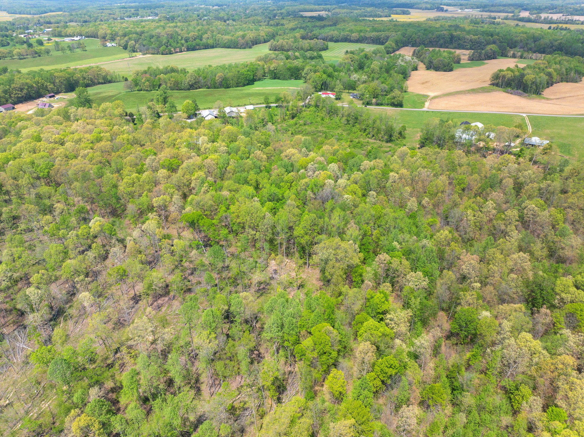 790 Roan Creek Levee Road Yuma, TN 38390 - Photo 35 of 67