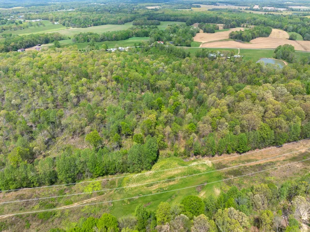 $269,000 | 790 Roan Creek Levee Road, Yuma, TN 38390