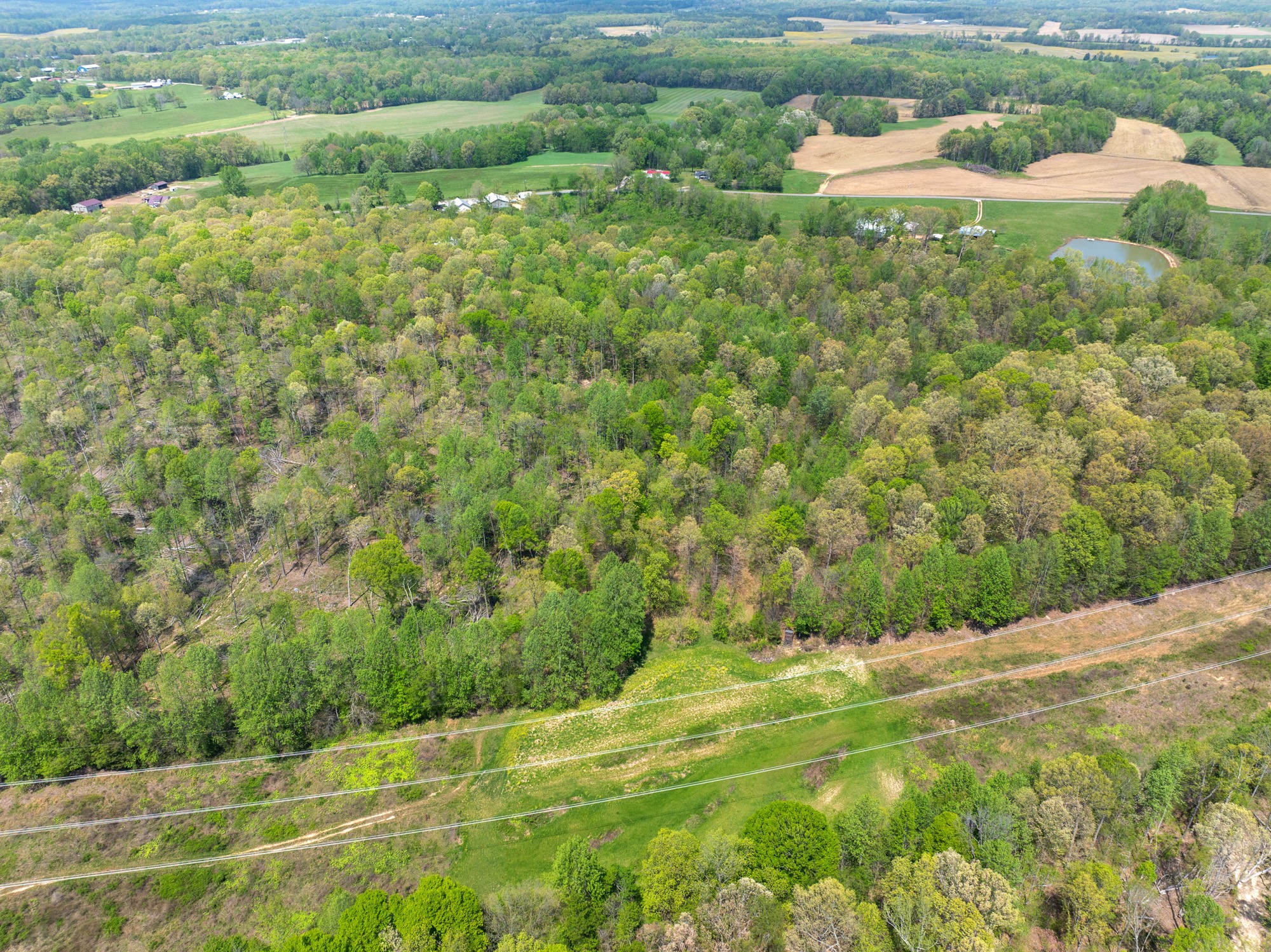 790 Roan Creek Levee Road Yuma, TN 38390 - Photo 36 of 67