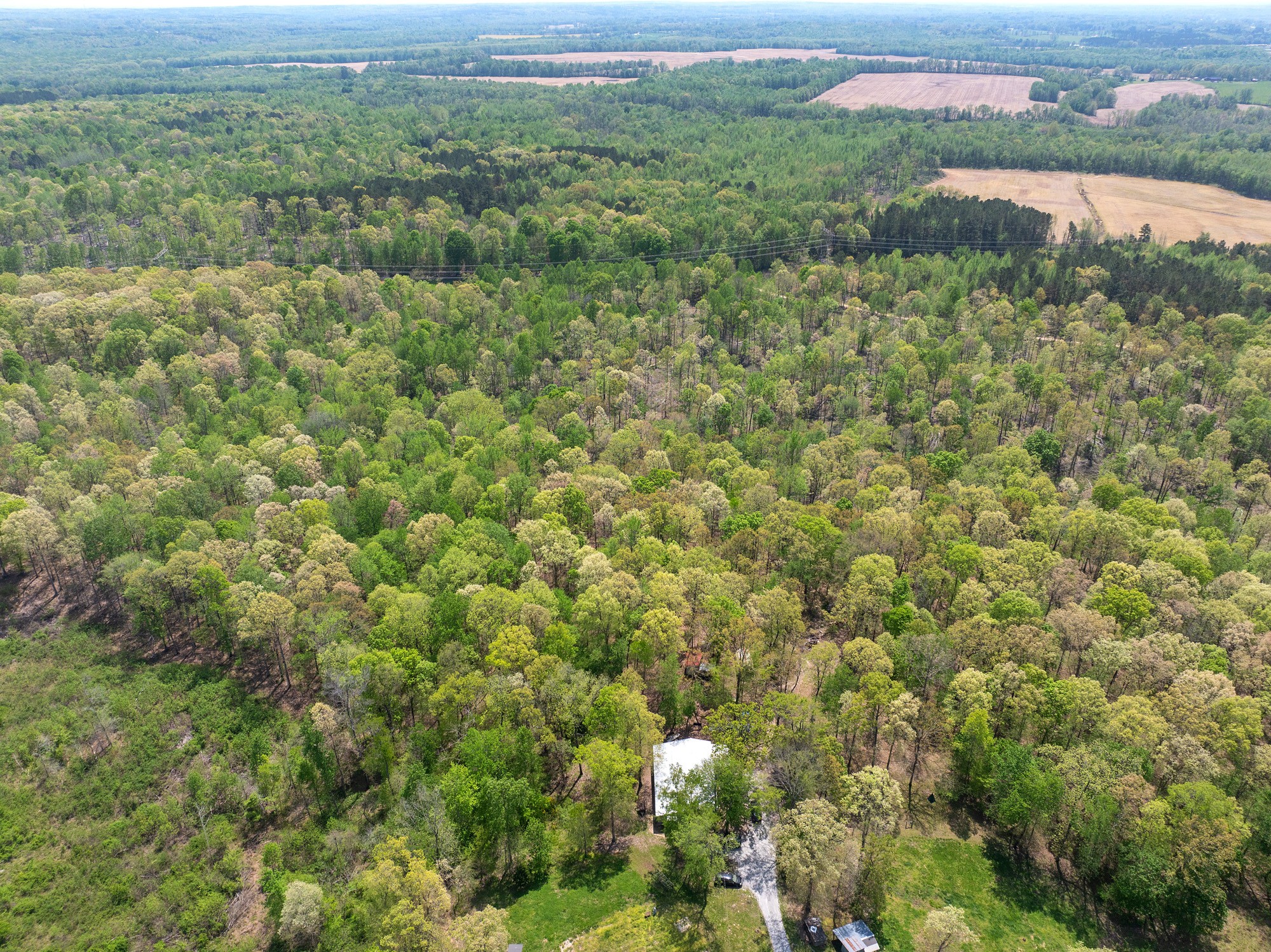 790 Roan Creek Levee Road Yuma, TN 38390 - Photo 46 of 67