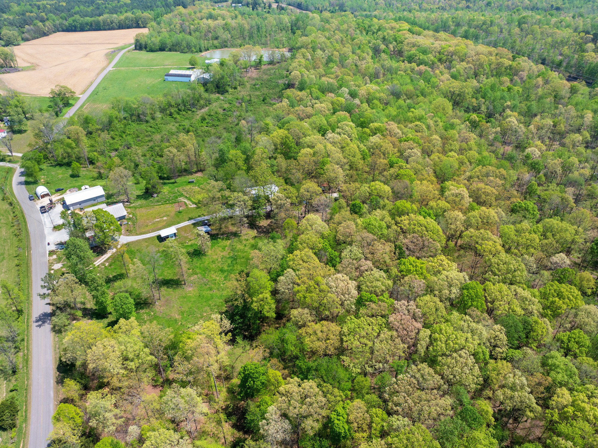 790 Roan Creek Levee Road Yuma, TN 38390 - Photo 8 of 67