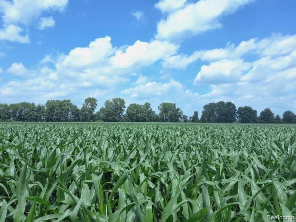 Auction Lot #3 Auction Road Allenton, MI 48002 - Photo 1 of 4