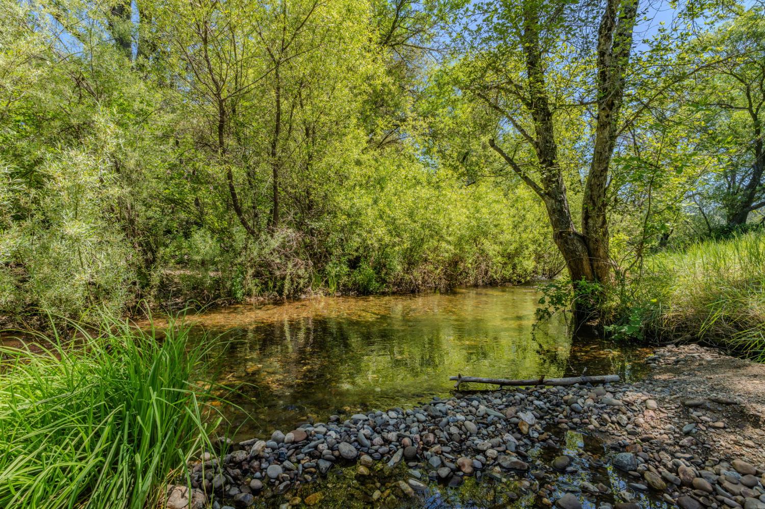 22930 Meadow View Road Fiddletown, CA 95629 - Photo 12 of 95
