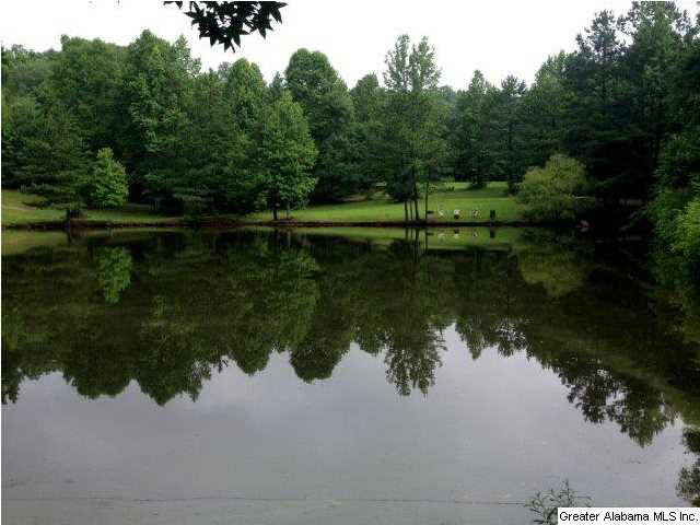 1416 Chandler Mountain Road Steele, AL 35987 - Photo 25 of 25