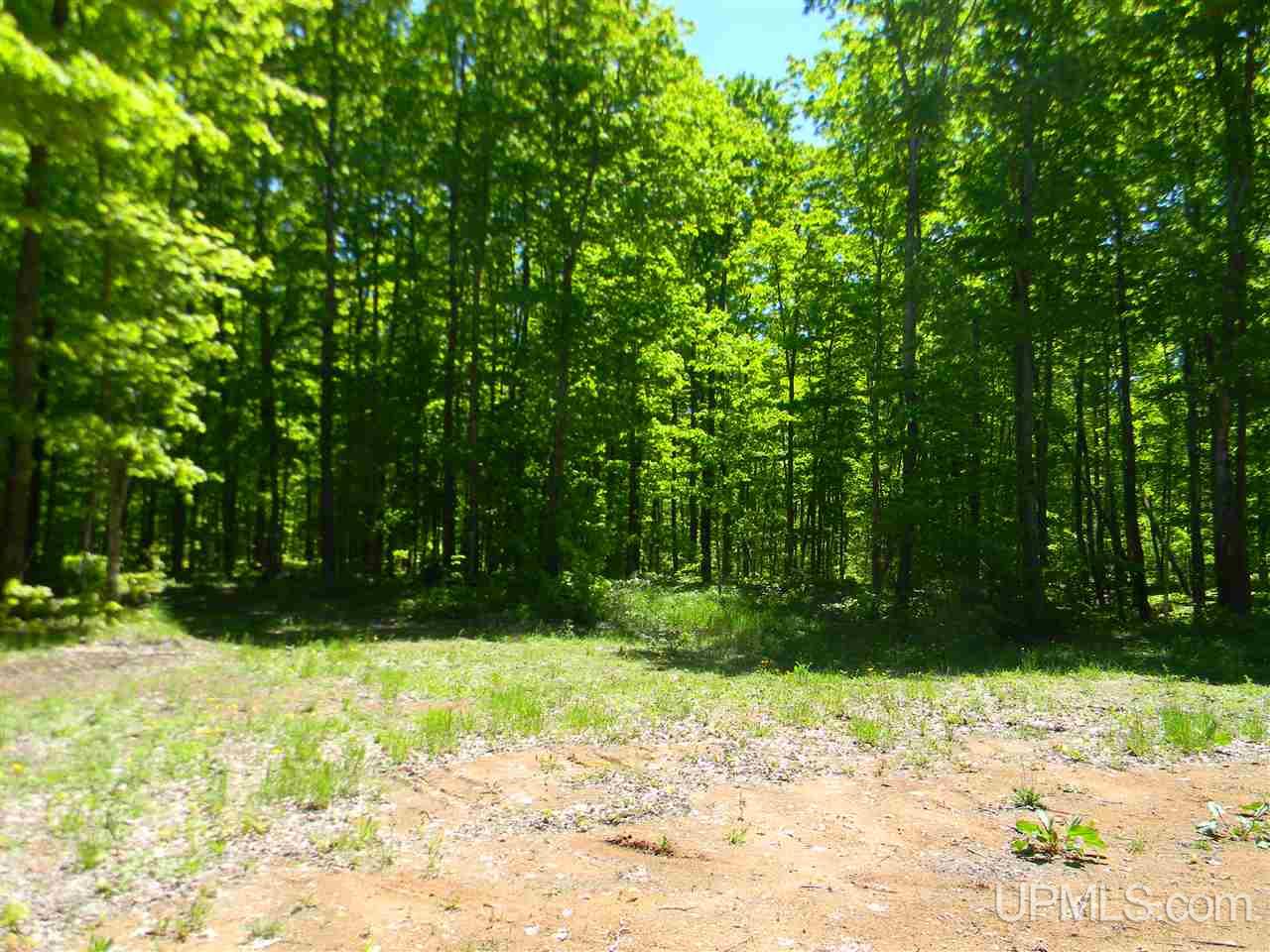 Tbd Rauhala Road, Unit LOT 6 COLES CREEK SUBDIV Atlantic Mine, MI 49931 - Photo 6 of 9
