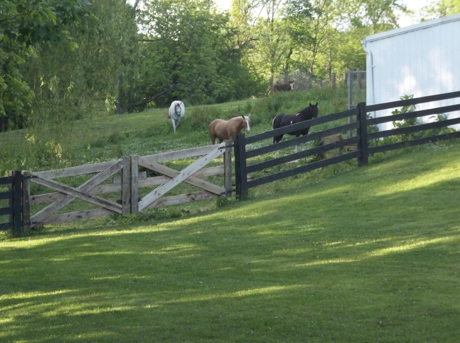 9635 Napoleon-Zion Station Road Dry Ridge, KY 41035 - Photo 17 of 24