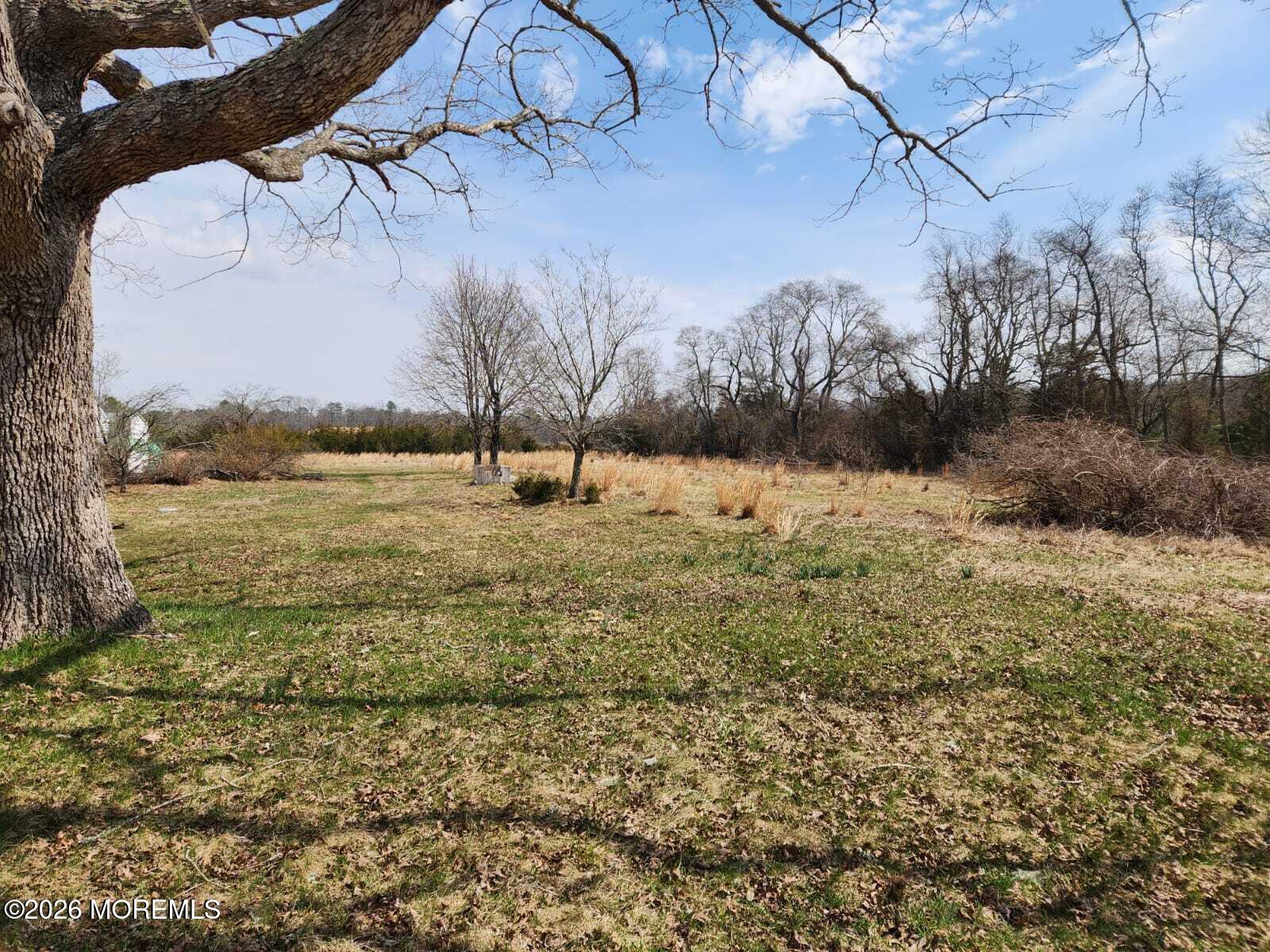 175 Grawtown Road Jackson, NJ 08527 - Photo 5 of 27 a view of beach with large trees