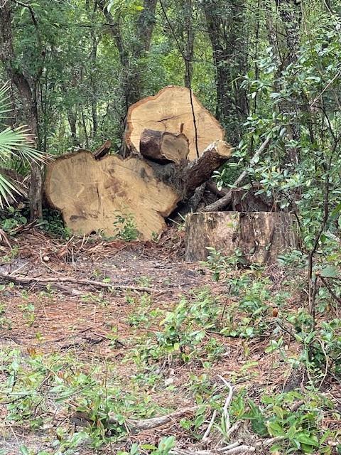 2850 Cleburne Road Orlando, FL 32817 - Photo 5 of 13 a backyard of a house with a yard and outdoor seating