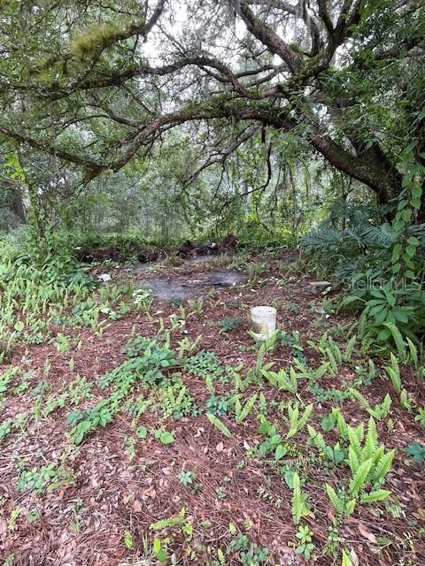 2850 Cleburne Road Orlando, FL 32817 - Photo 6 of 13 a backyard of a house with lots of green space
