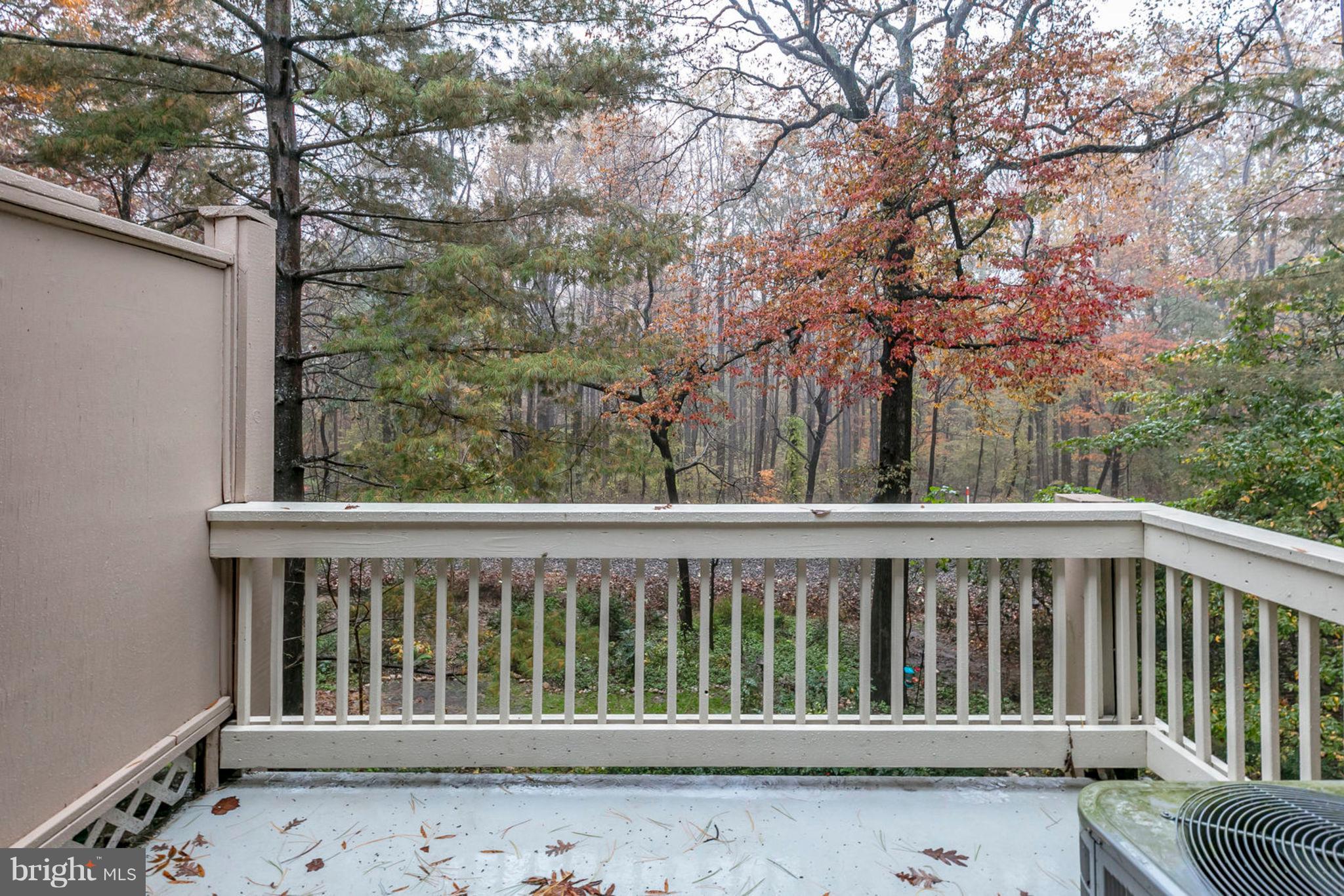5804 Royal Ridge Drive, Unit T Springfield, VA 22152 - Photo 24 of 29 Gallery Image 24
