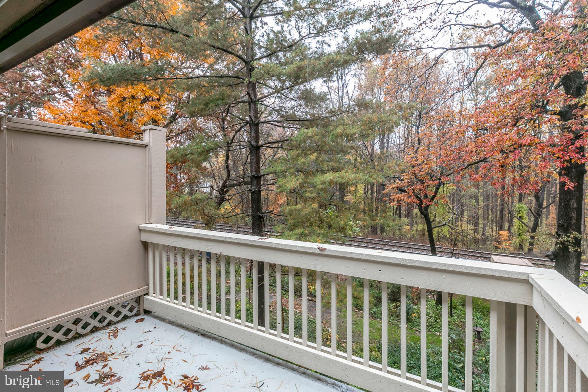 5804 Royal Ridge Drive, Unit T Springfield, VA 22152 - Photo 25 of 29 Gallery Image 25