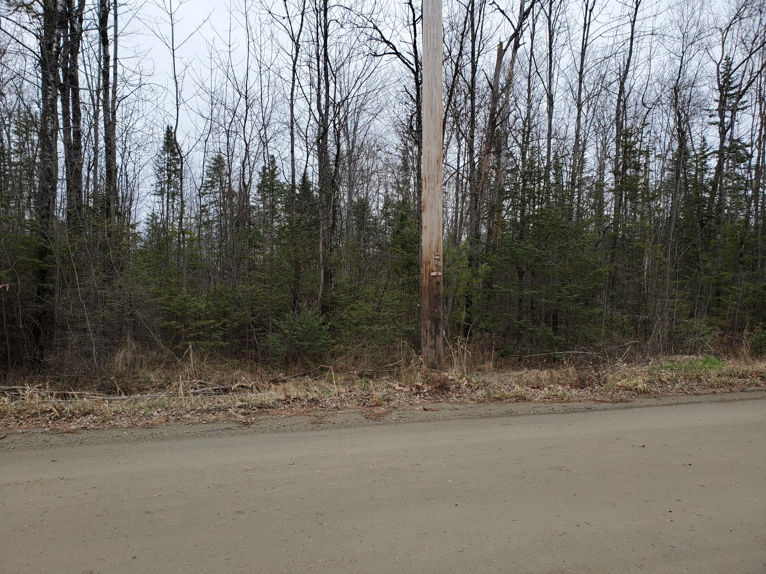 Lot 7 Johnson Flat Road Dexter, ME 04930 - Photo 2 of 6 20191111_102420