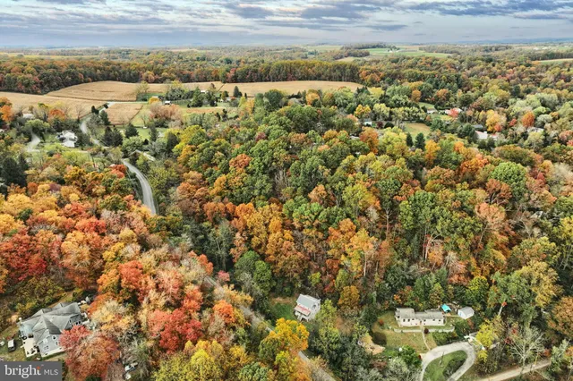 a view of a yard with plants and trees