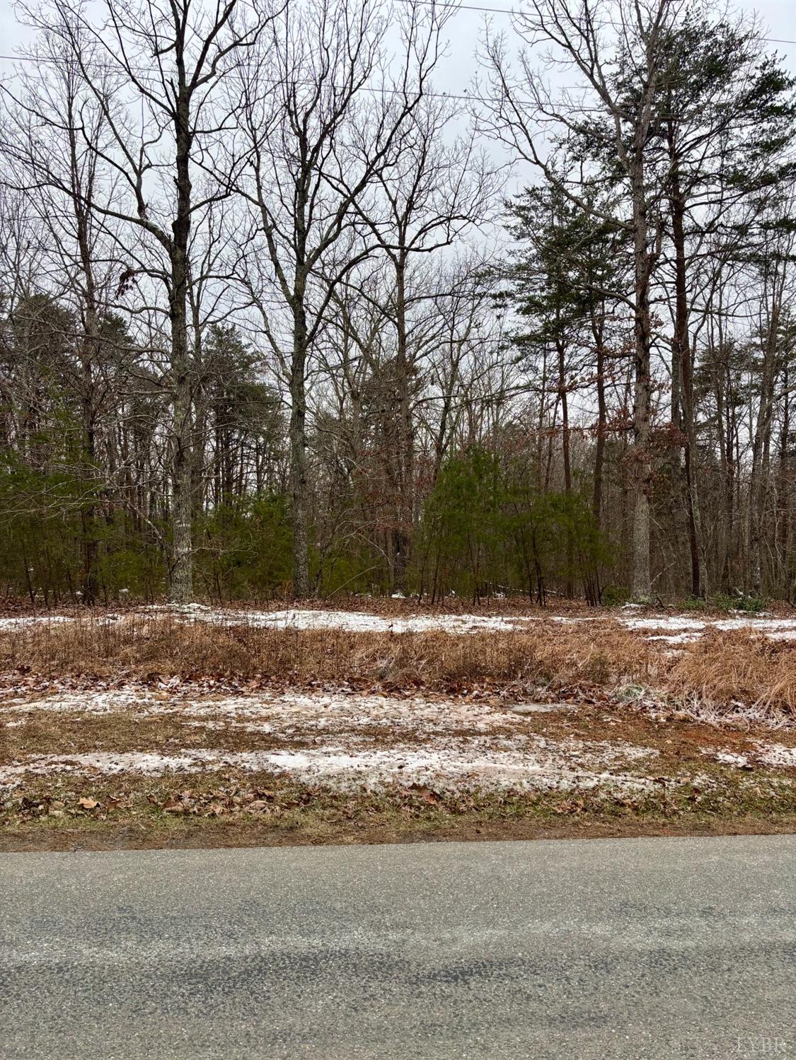 0 Mitchell Mill Road Gladys, VA 24554 - Photo 1 of 8