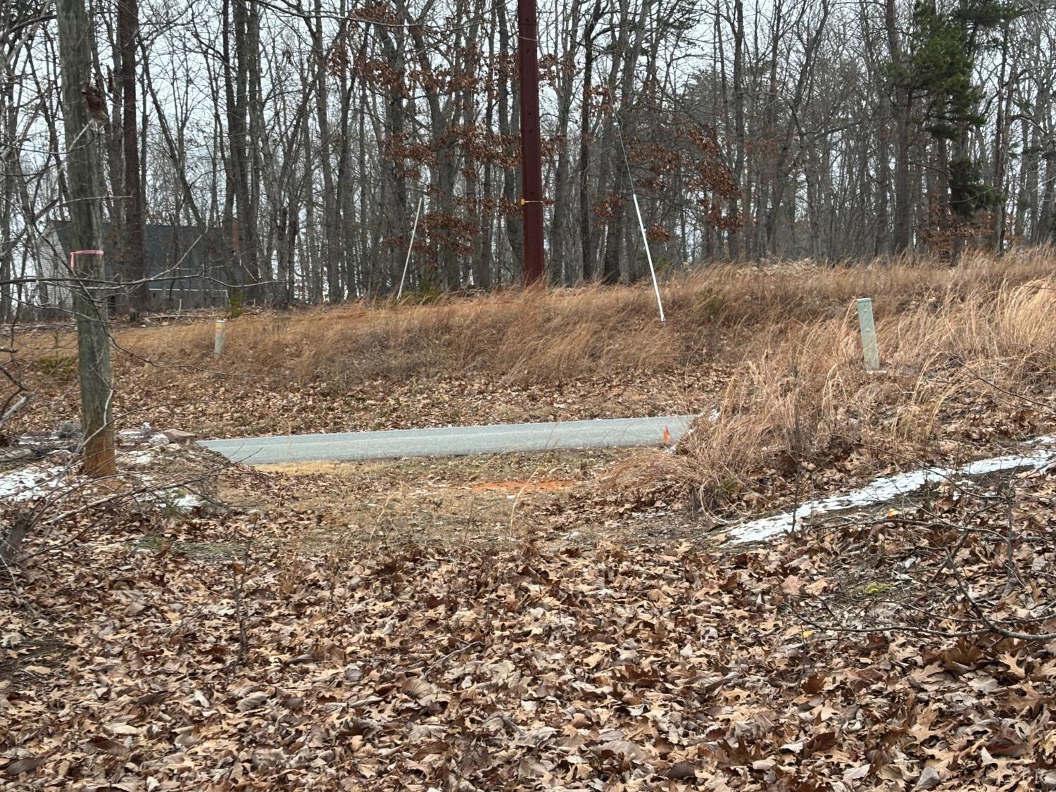 0 Mitchell Mill Road Gladys, VA 24554 - Photo 2 of 8