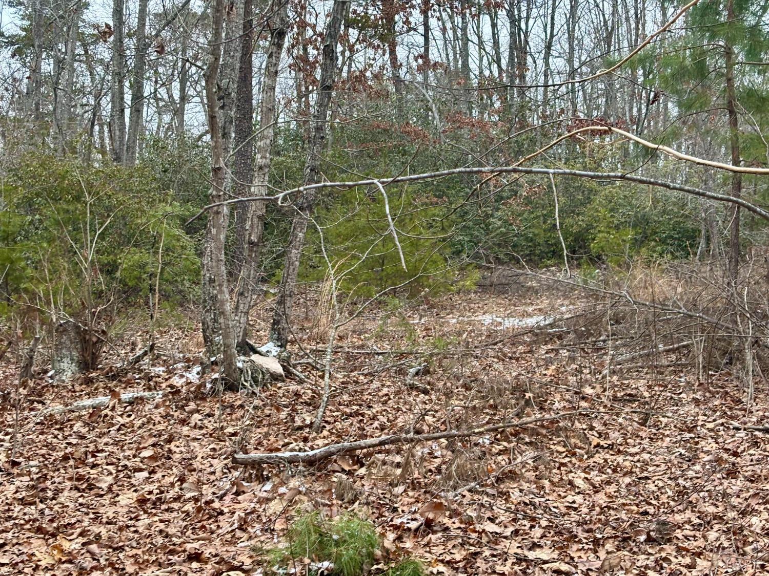 0 Mitchell Mill Road Gladys, VA 24554 - Photo 3 of 8
