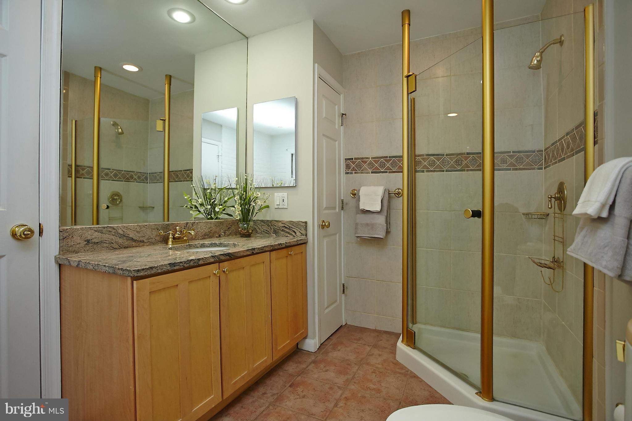 3744 30th Road North Arlington, VA 22207 - Photo 13 of 28 Bath (Master)