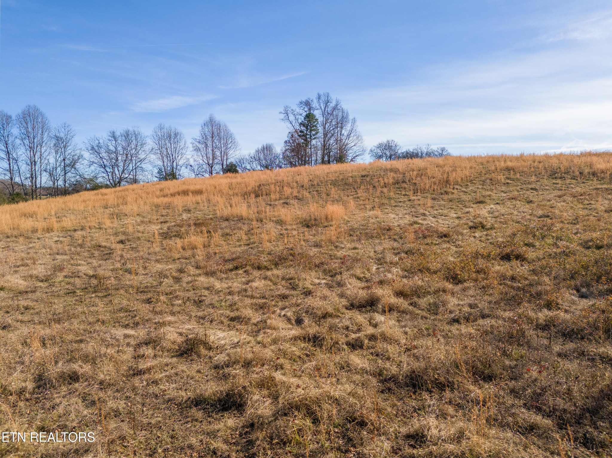 0 J J McCauley Road Sweetwater, TN 37874 - Photo 11 of 22