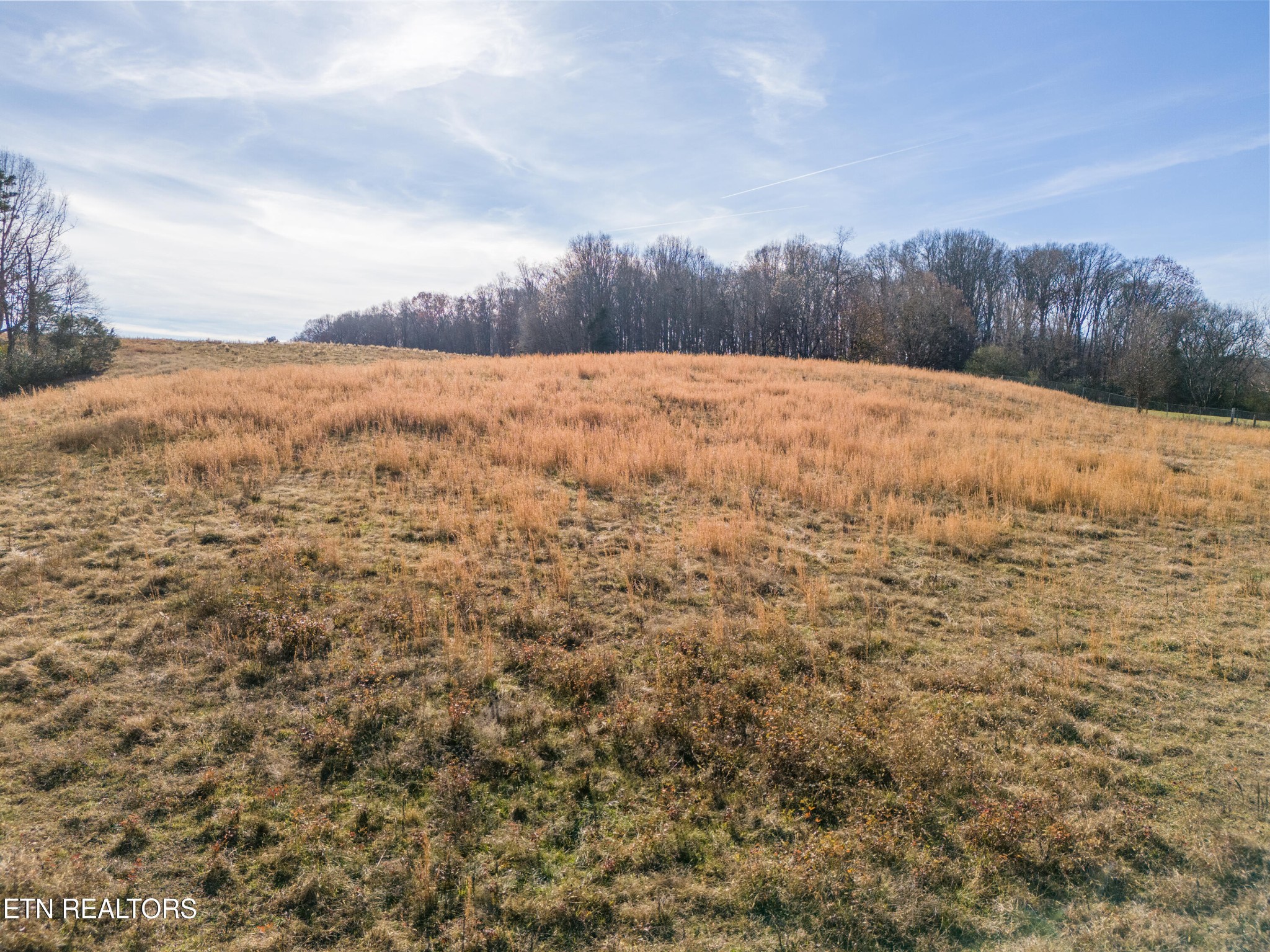 0 J J McCauley Road Sweetwater, TN 37874 - Photo 9 of 22