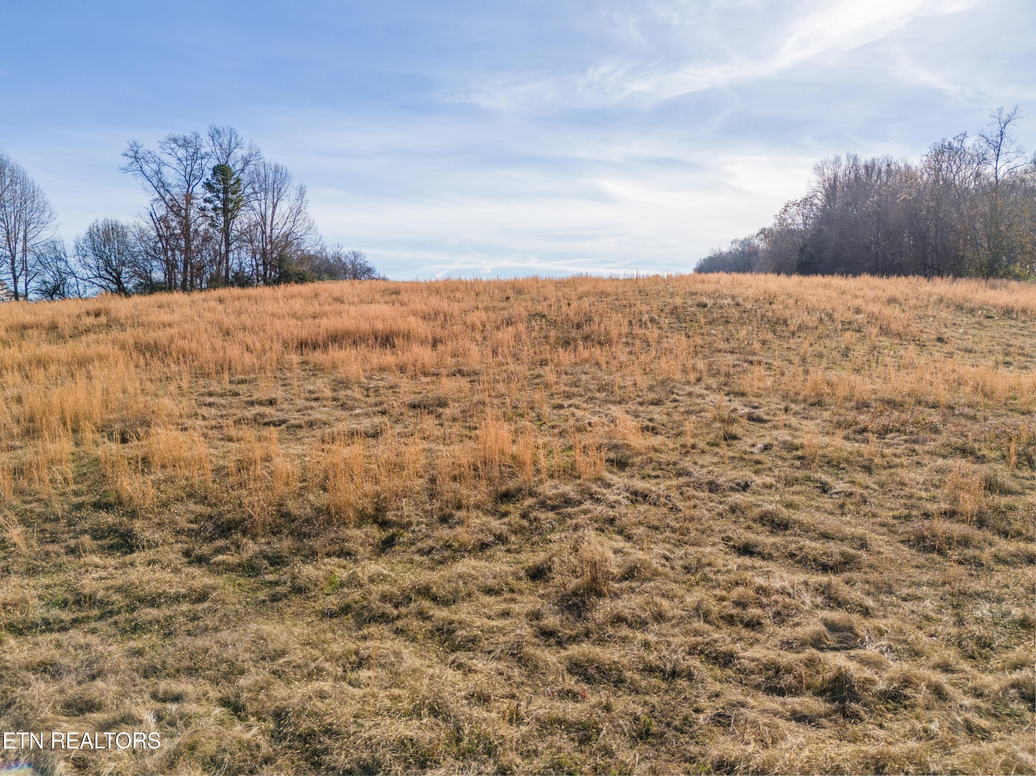 0 J J McCauley Road Sweetwater, TN 37874 - Photo 10 of 22