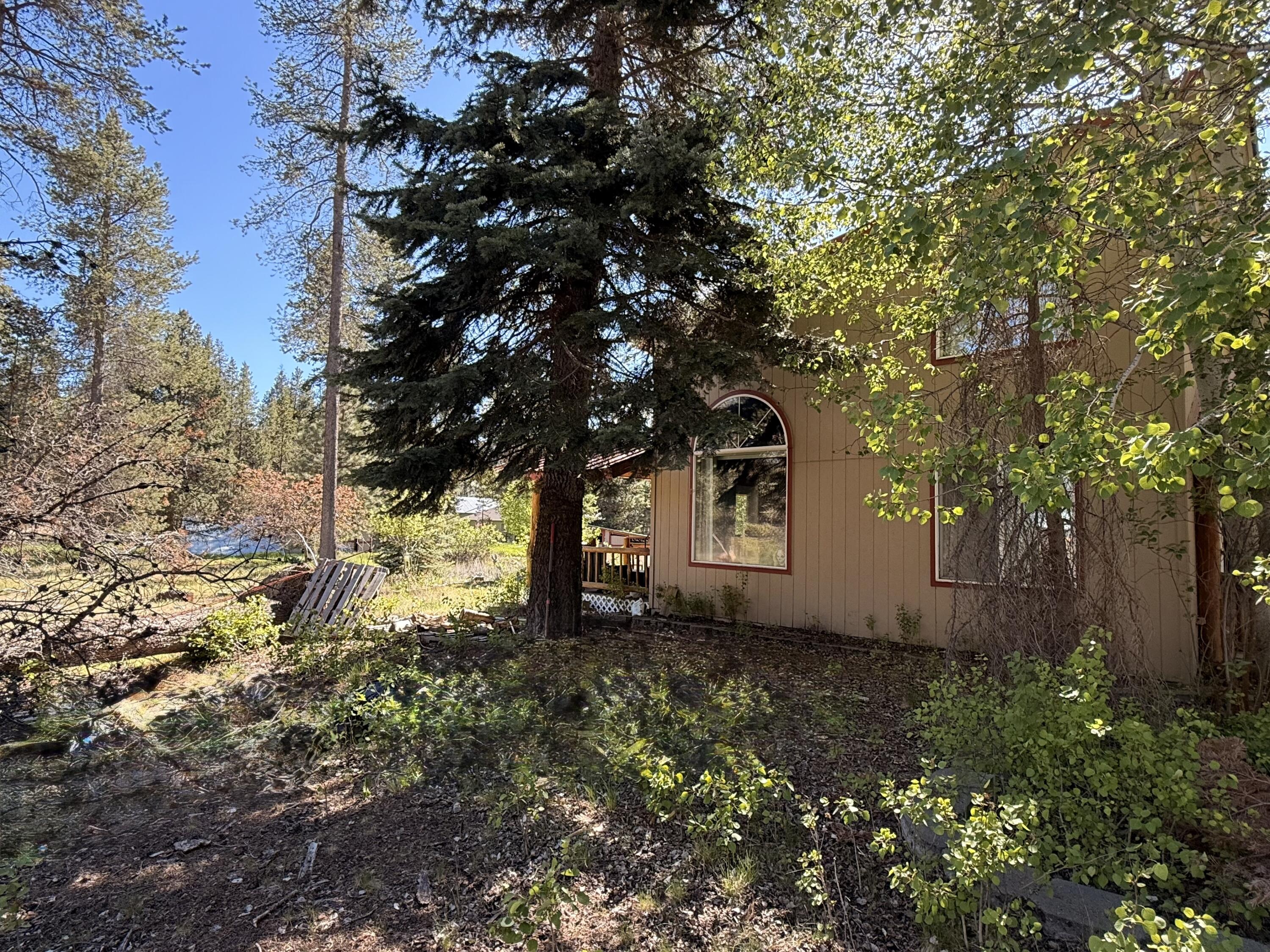16025 Strawn Road La Pine, OR 97739 - Photo 42 of 70 a view of a tree in the middle of a yard