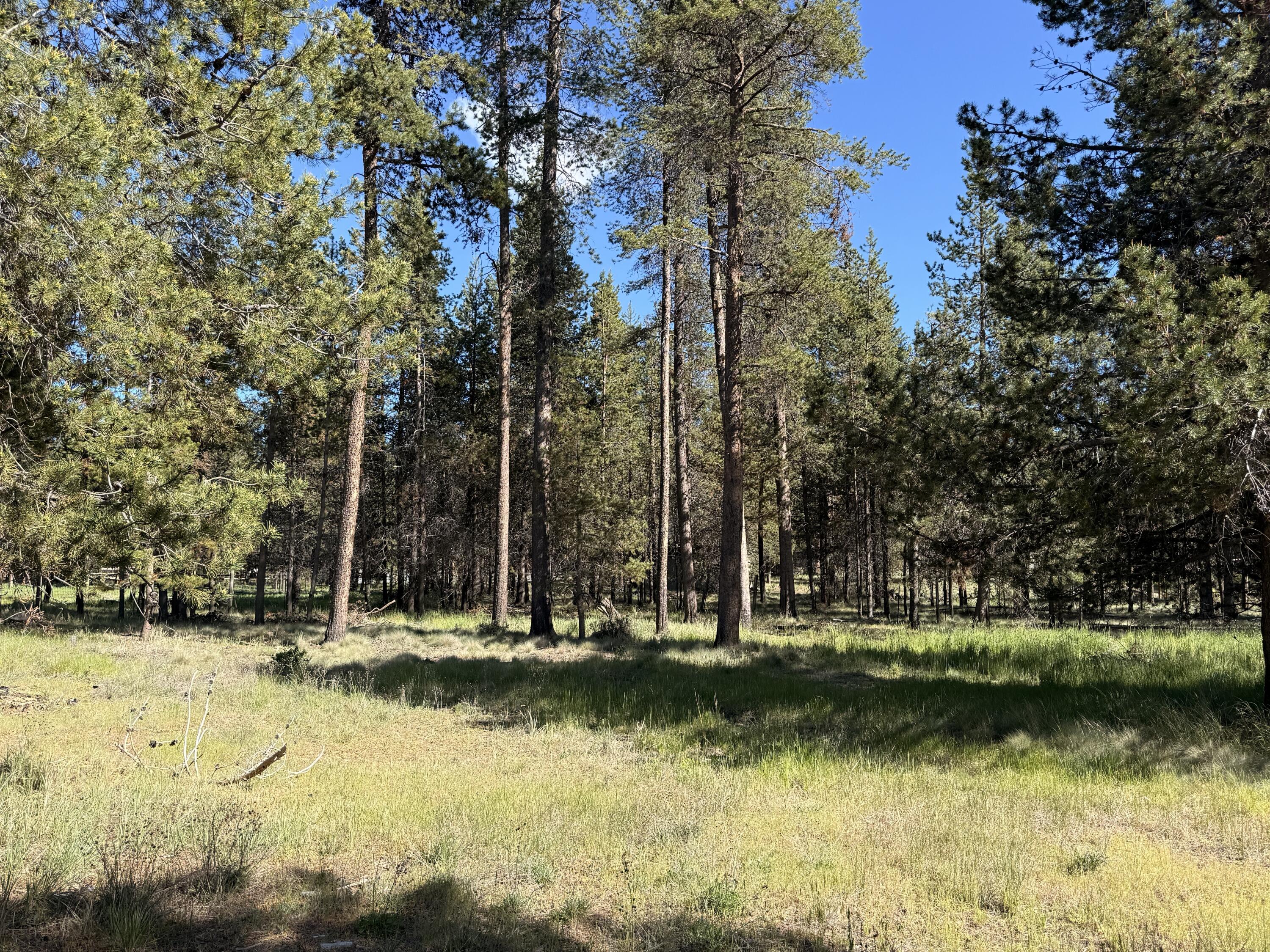 16025 Strawn Road La Pine, OR 97739 - Photo 45 of 70 a view of lake