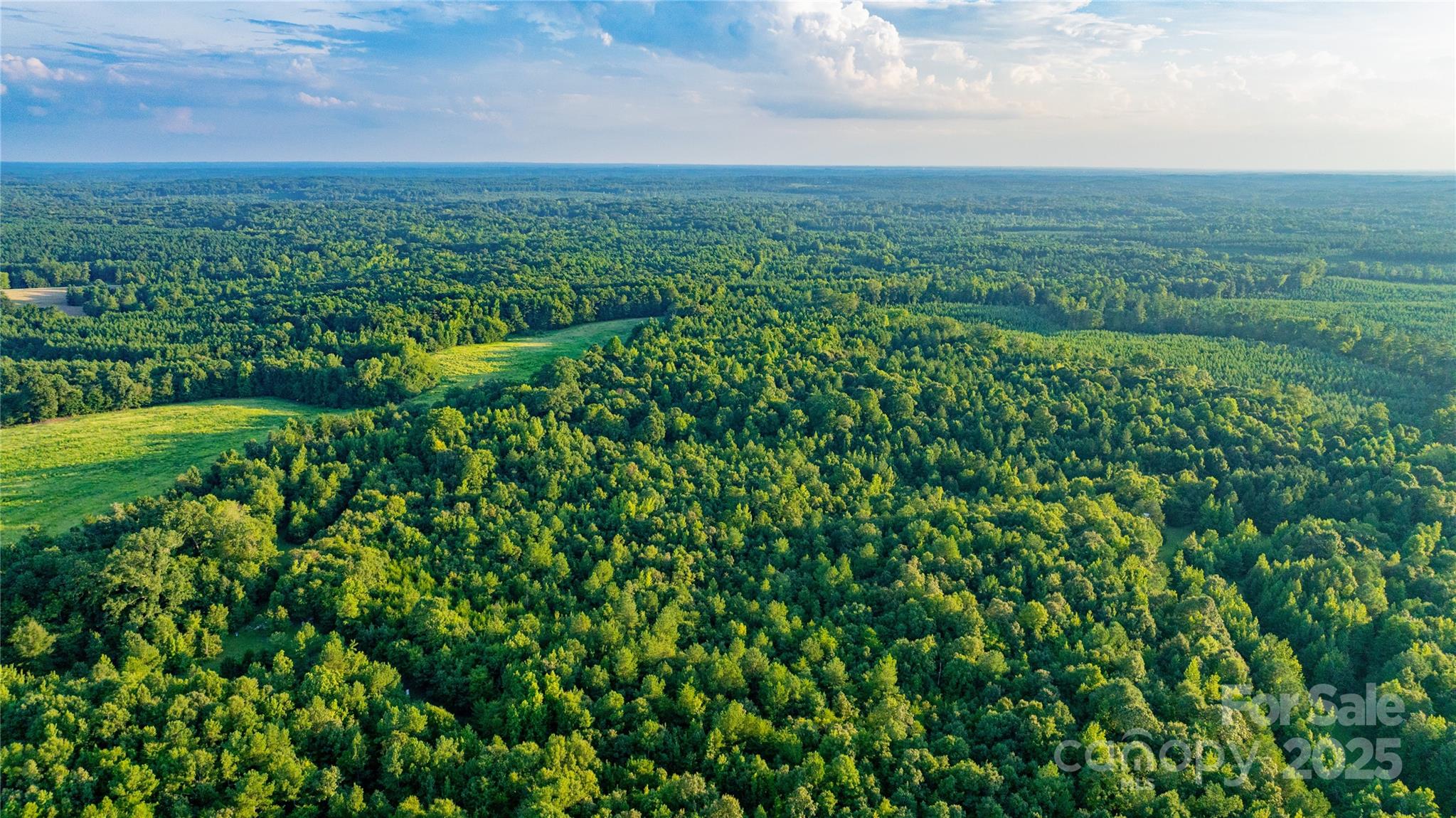 0 Daystar Road, Unit 9 Lancaster, SC 29720 - Photo 13 of 23