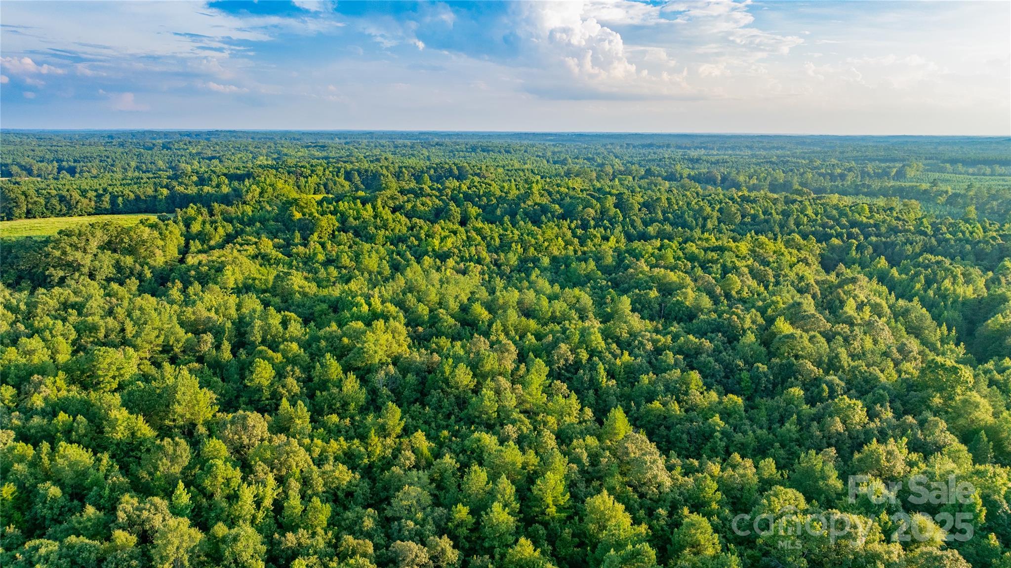0 Daystar Road, Unit 9 Lancaster, SC 29720 - Photo 14 of 23