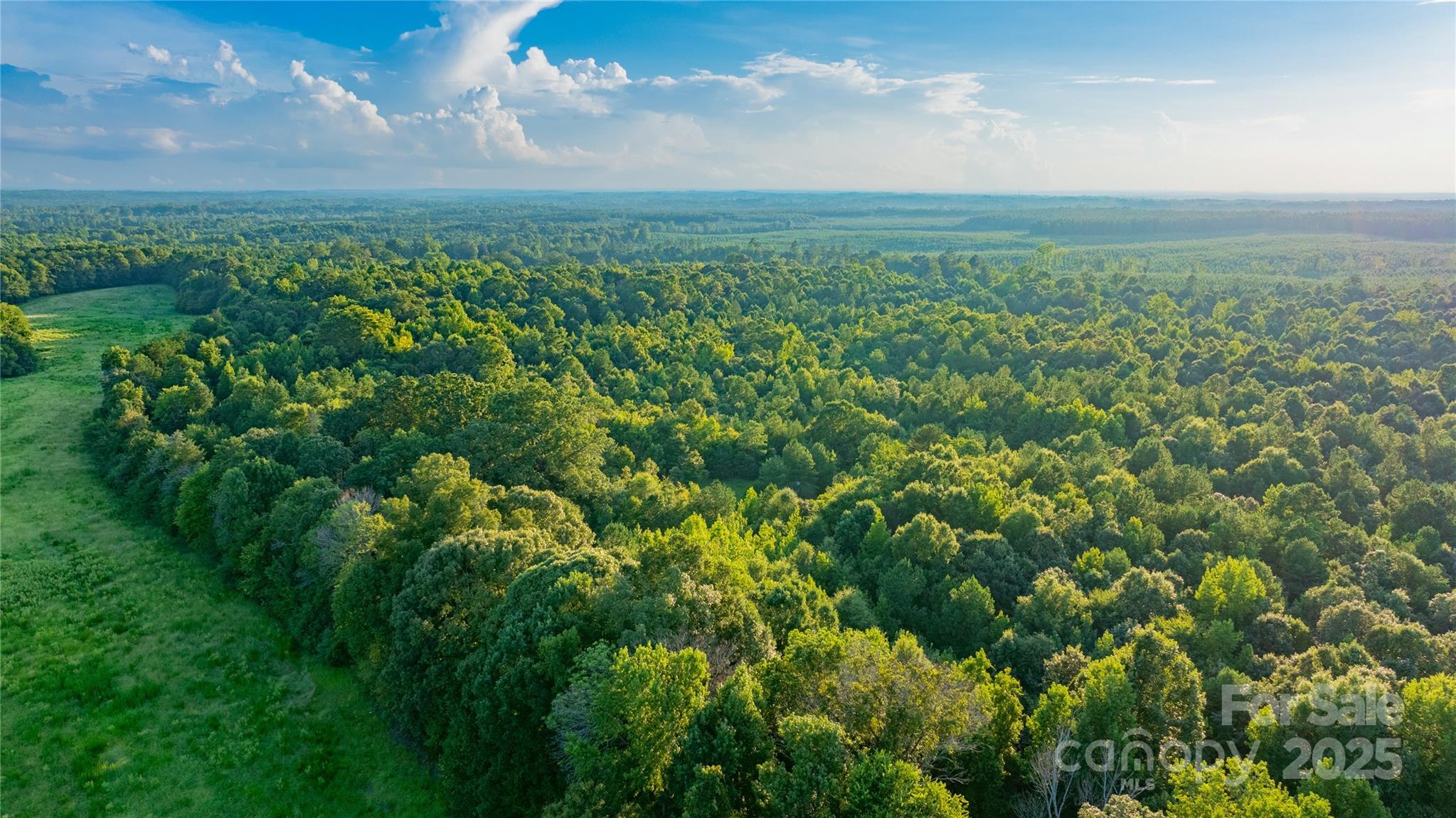 0 Daystar Road, Unit 9 Lancaster, SC 29720 - Photo 15 of 23